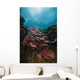 Coral Reef Raja Ampat Light Wall Decal