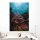 Coral Reef Raja Ampat Light Wall Decal