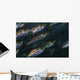Oxeye Scad Raja Ampat Wall Decal