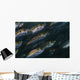Oxeye Scad Raja Ampat Wall Decal