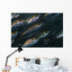 Oxeye Scad Raja Ampat Wall Decal