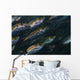 Oxeye Scad Raja Ampat Wall Decal