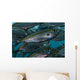 Oxeye Scad Raja Ampat Close-up Wall Decal