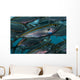 Oxeye Scad Raja Ampat Close-up Wall Decal
