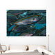 Oxeye Scad Raja Ampat Close-up Wall Decal