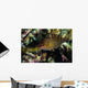 Wrasse Raja Ampat Indonesia Wall Decal