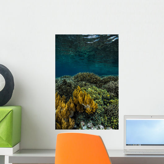 Coral Reef Raja Ampat Vertical Wall Decal
