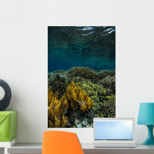 Coral Reef Raja Ampat Vertical Wall Decal