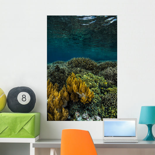 Coral Reef Raja Ampat Vertical Wall Decal