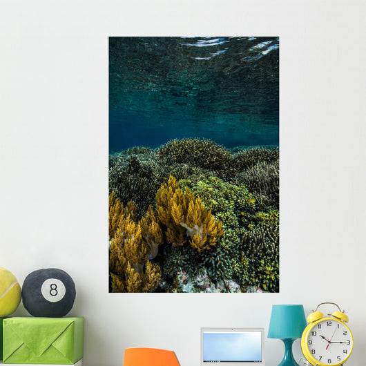Coral Reef Raja Ampat Vertical Wall Decal