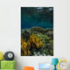 Coral Reef Raja Ampat Vertical Wall Decal