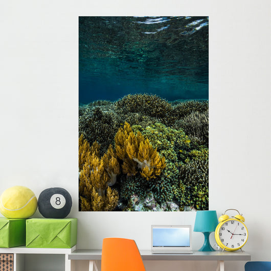 Coral Reef Raja Ampat Vertical Wall Decal
