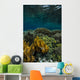 Coral Reef Raja Ampat Vertical Wall Decal