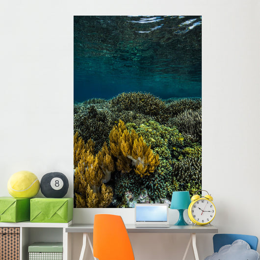 Coral Reef Raja Ampat Vertical Wall Decal
