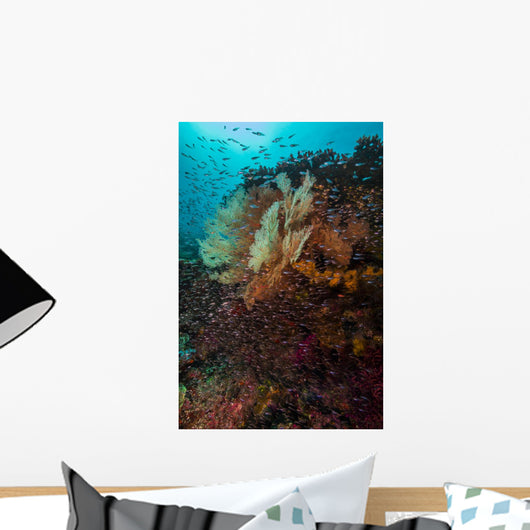 Coral Reef Raja Ampat School of Fish Wall Decal