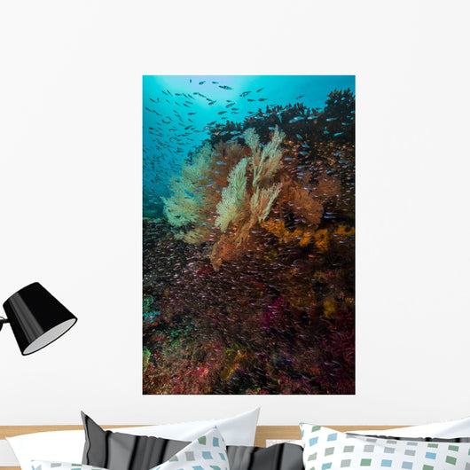 Coral Reef Raja Ampat School of Fish Wall Decal