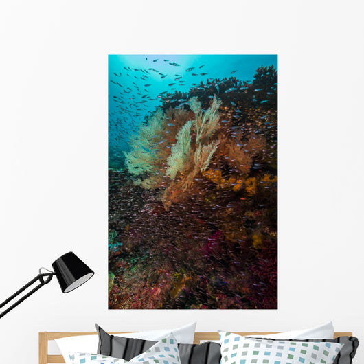Coral Reef Raja Ampat School of Fish Wall Decal