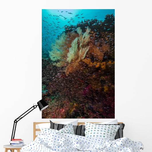 Coral Reef Raja Ampat School of Fish Wall Decal