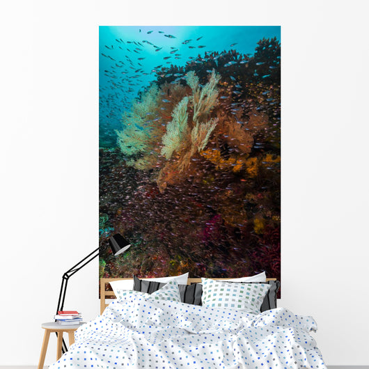 Coral Reef Raja Ampat School of Fish Wall Decal