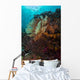 Coral Reef Raja Ampat School of Fish Wall Decal