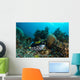 Clown Triggerfish Raja Ampat Wall Decal
