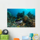 Clown Triggerfish Raja Ampat Wall Decal