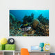 Clown Triggerfish Raja Ampat Wall Decal
