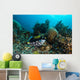 Clown Triggerfish Raja Ampat Wall Decal