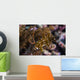 Rockmover Wrasse Raja Ampat Wall Decal