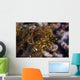 Rockmover Wrasse Raja Ampat Wall Decal