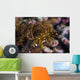 Rockmover Wrasse Raja Ampat Wall Decal