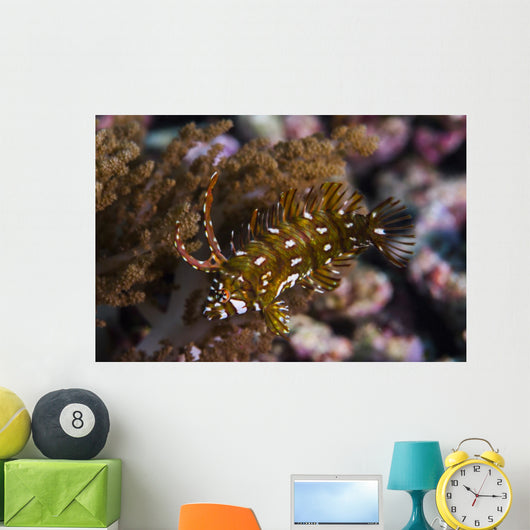 Rockmover Wrasse Raja Ampat Wall Decal