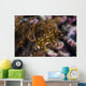 Rockmover Wrasse Raja Ampat Wall Decal