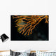 Coral Raja Ampat Indonesia Wall Decal