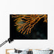 Coral Raja Ampat Indonesia Wall Decal