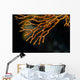 Coral Raja Ampat Indonesia Wall Decal