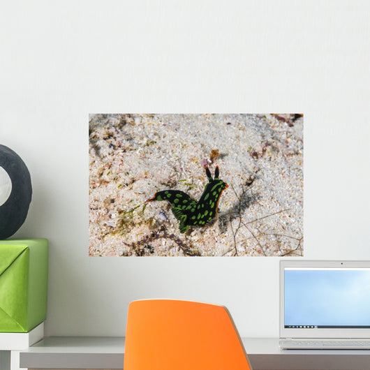 Nembrotha Yonowae Nudibranch Raja Wall Decal