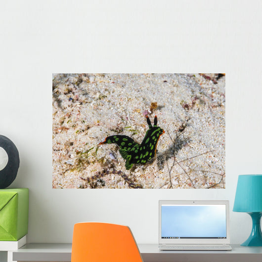 Nembrotha Yonowae Nudibranch Raja Wall Decal