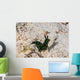 Nembrotha Yonowae Nudibranch Raja Wall Decal