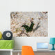 Nembrotha Yonowae Nudibranch Raja Wall Decal