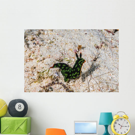Nembrotha Yonowae Nudibranch Raja Wall Decal