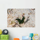 Nembrotha Yonowae Nudibranch Raja Wall Decal
