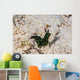 Nembrotha Yonowae Nudibranch Raja Wall Decal