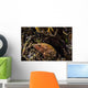 Bluespotted Grouper Reef Raja Wall Decal