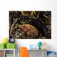 Bluespotted Grouper Reef Raja Wall Decal