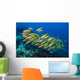 Golden-lined Snapper Raja Ampat Horizontal Wall Decal