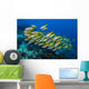 Golden-lined Snapper Raja Ampat Horizontal Wall Decal