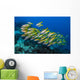 Golden-lined Snapper Raja Ampat Horizontal Wall Decal