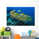 Golden-lined Snapper Raja Ampat Horizontal Wall Decal