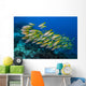 Golden-lined Snapper Raja Ampat Horizontal Wall Decal